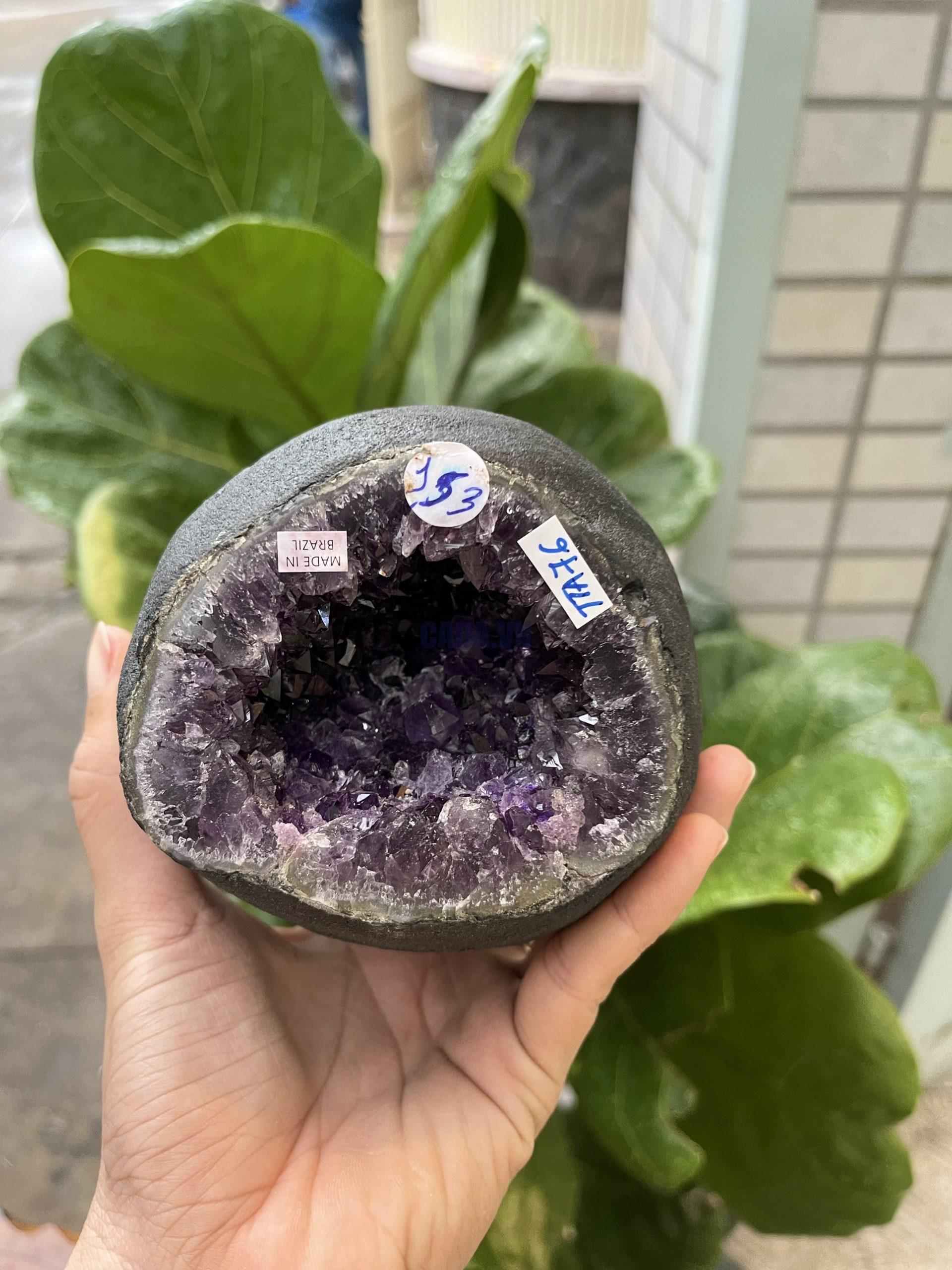 Túi Tiền - Ổ Tụ Tài Thạch Anh Tím - Amethyst (TTA76), KT: 9x8x12 CM, KL : 1.505kg