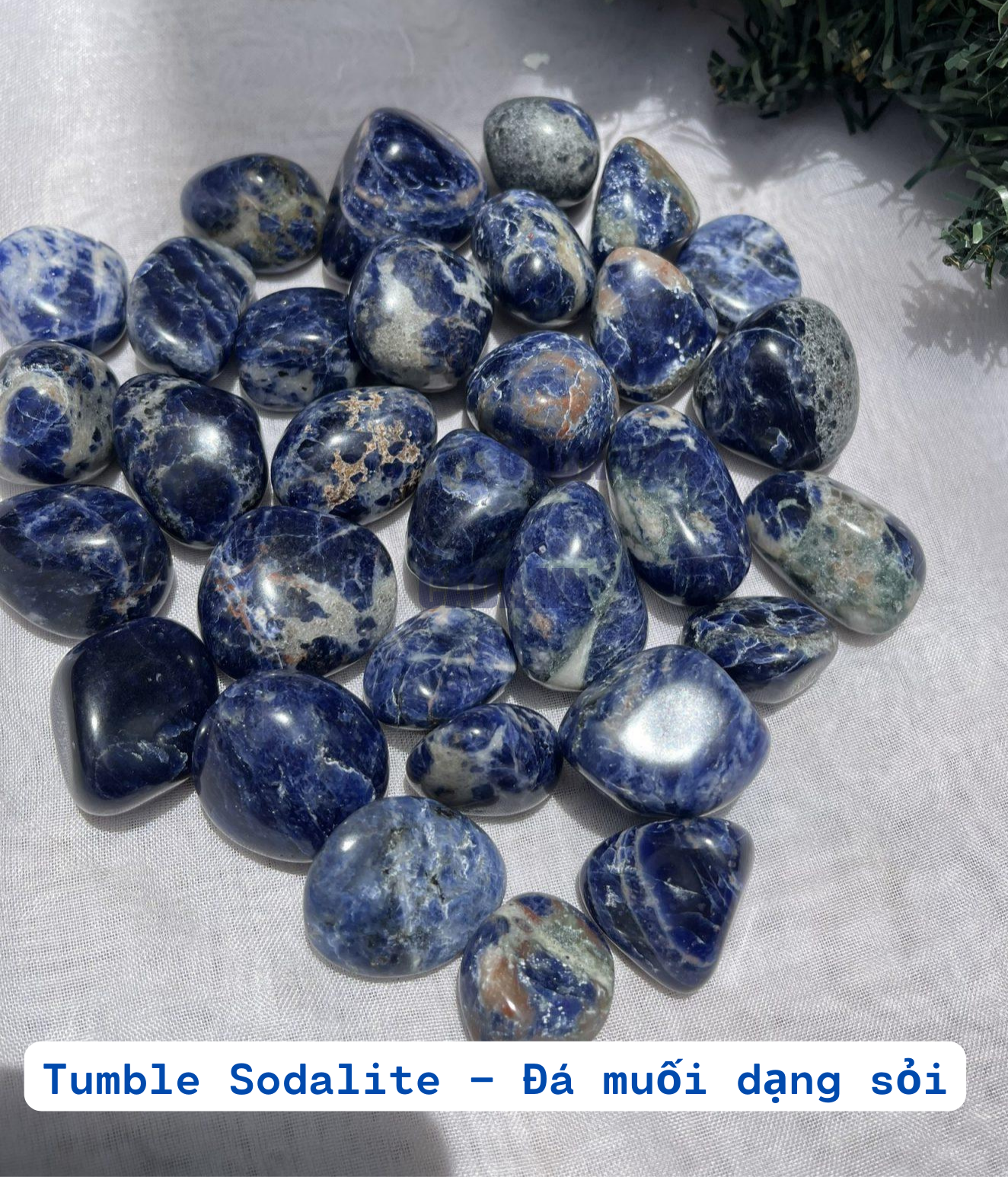 Tumble Sodalite | CADA DECOR