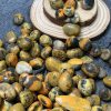 TUMBLE BUMBLE BEE | CADA.VN