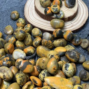 TUMBLE BUMBLE BEE | CADA.VN
