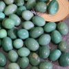 Tumble Aventurine | Đá trang trí, sưu tầm, healing | CADA DECOR