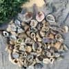 Hốc Mã Não | Agate geode size mini | Đá trang trí, sưu tầm, healing | CADA DECOR