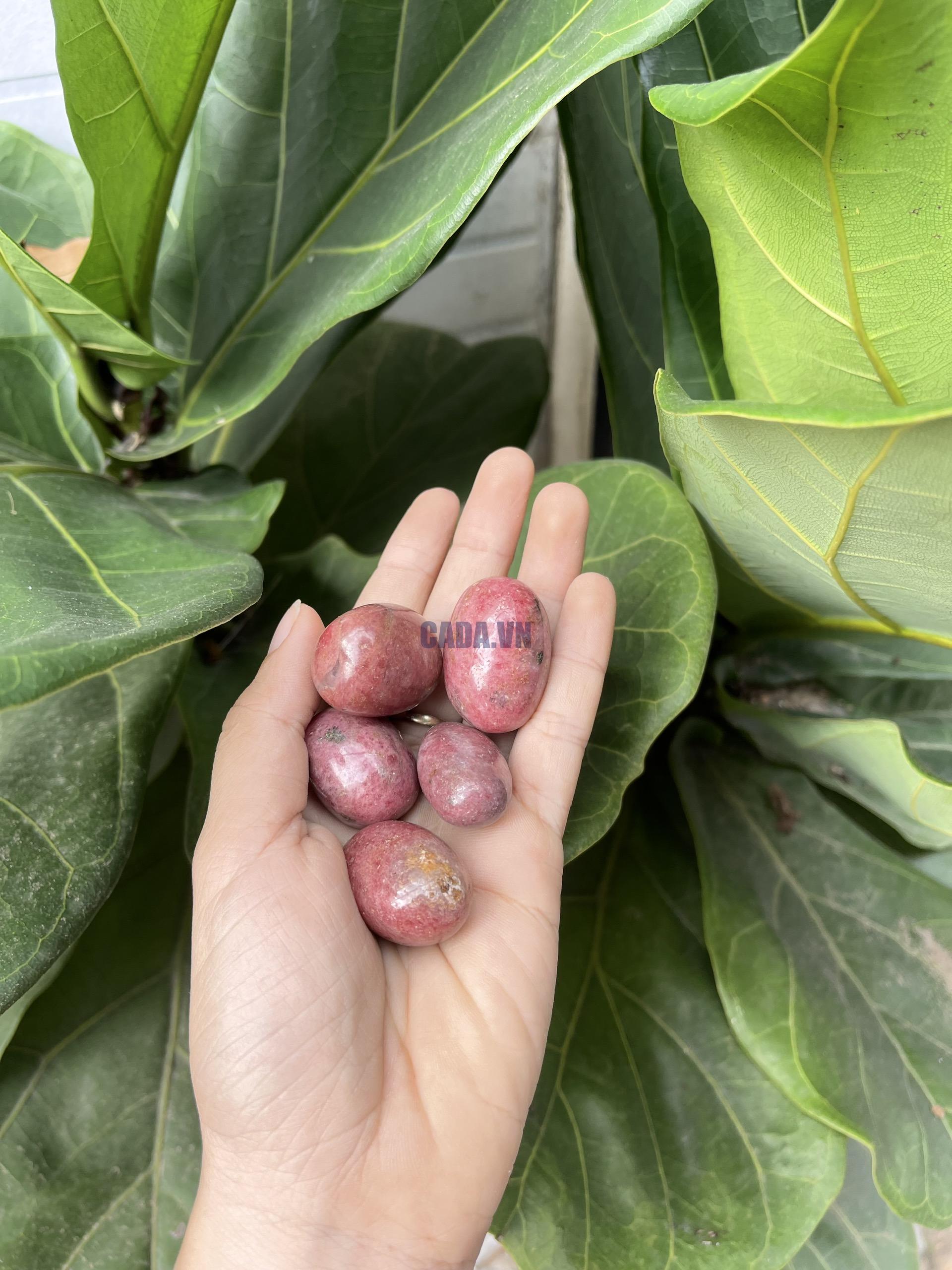 Đá Tường Vy | Tumble Rhodonite | Đá trang trí, sưu tầm, healing | CADA DECOR