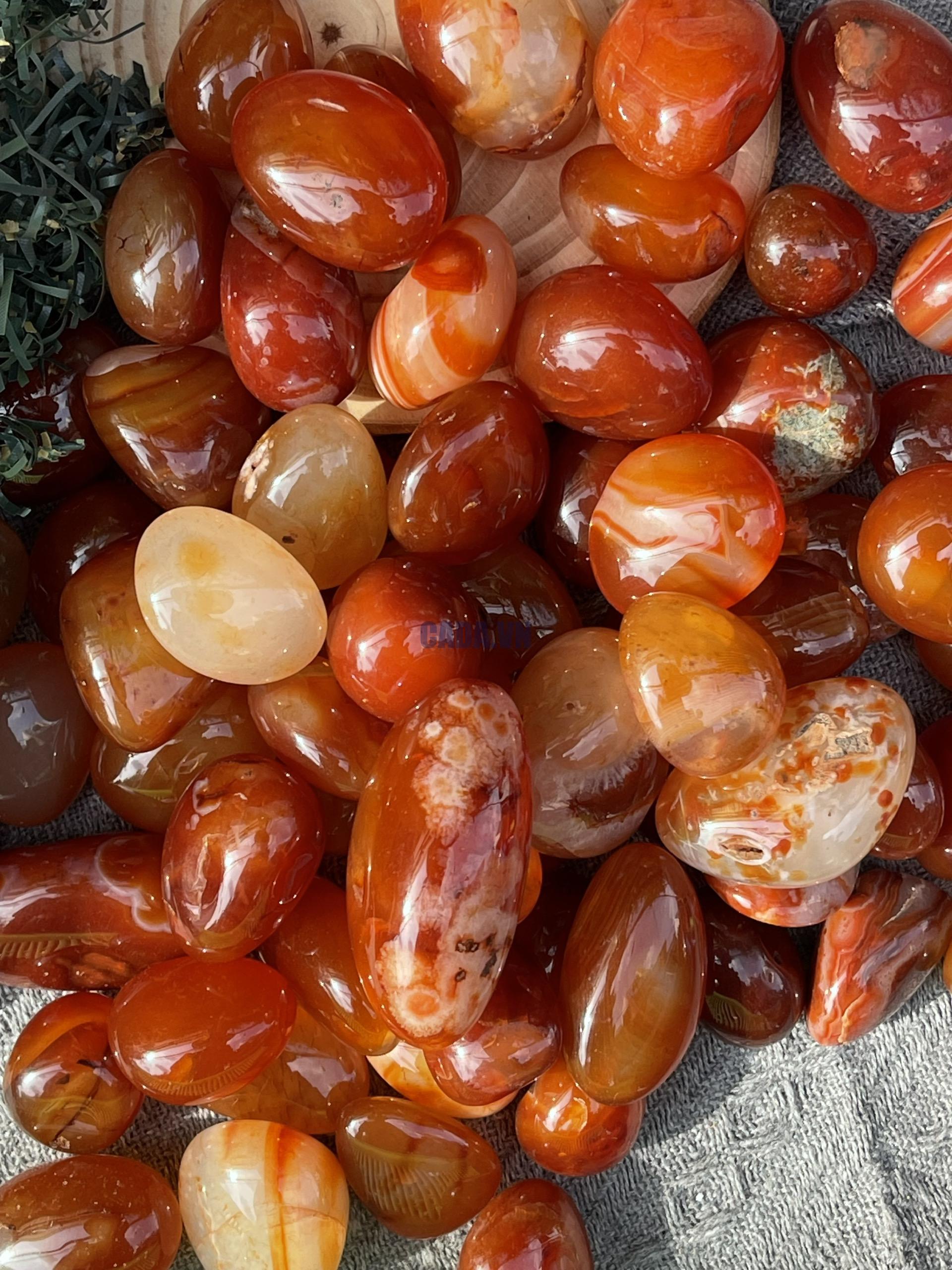 Tumble Carnelian| Đá trang trí, sưu tầm, healing | CADA DECOR