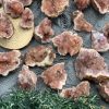 Thạch anh tím hồng | Pink ametthyst cluster | Đá trang trí, sưu tầm, healing | CADA DECOR