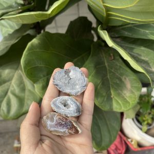 Hốc Mã Não | Agate geode size mini | Đá trang trí, sưu tầm, healing | CADA DECOR