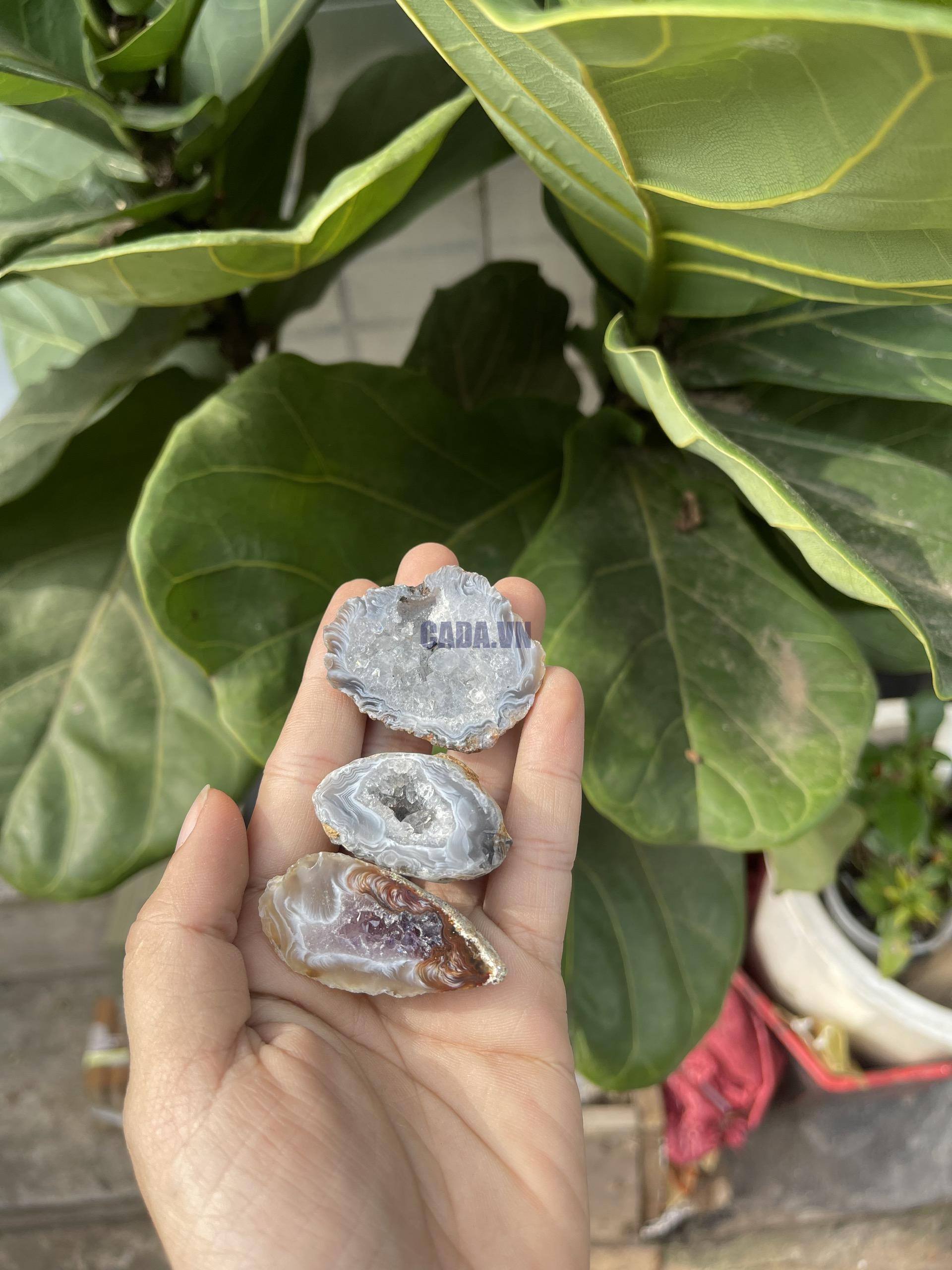 Hốc Mã Não | Agate geode size mini | Đá trang trí, sưu tầm, healing | CADA DECOR