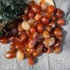 Tumble Carnelian| Đá trang trí, sưu tầm, healing | CADA DECOR