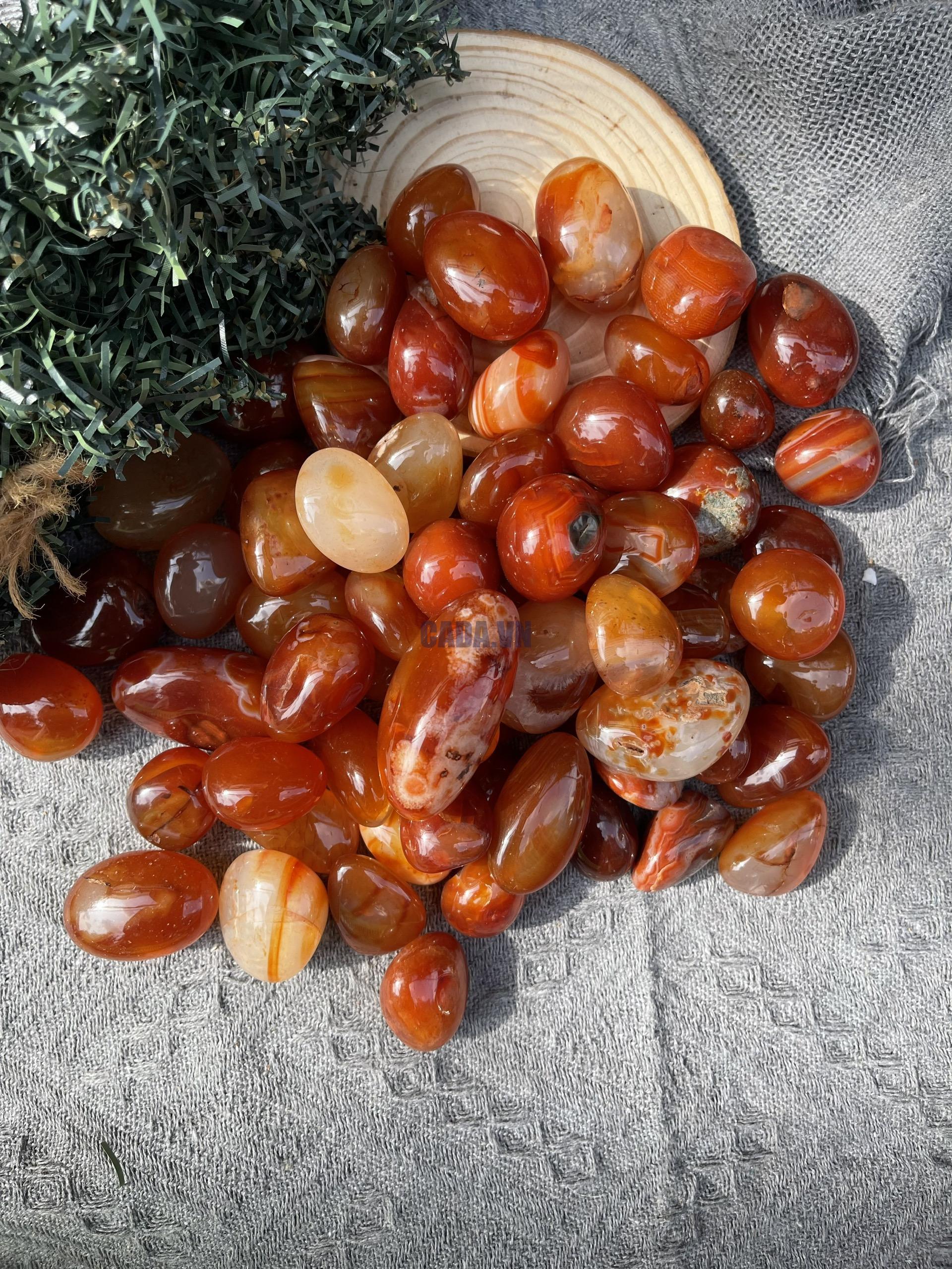 Tumble Carnelian| Đá trang trí, sưu tầm, healing | CADA DECOR