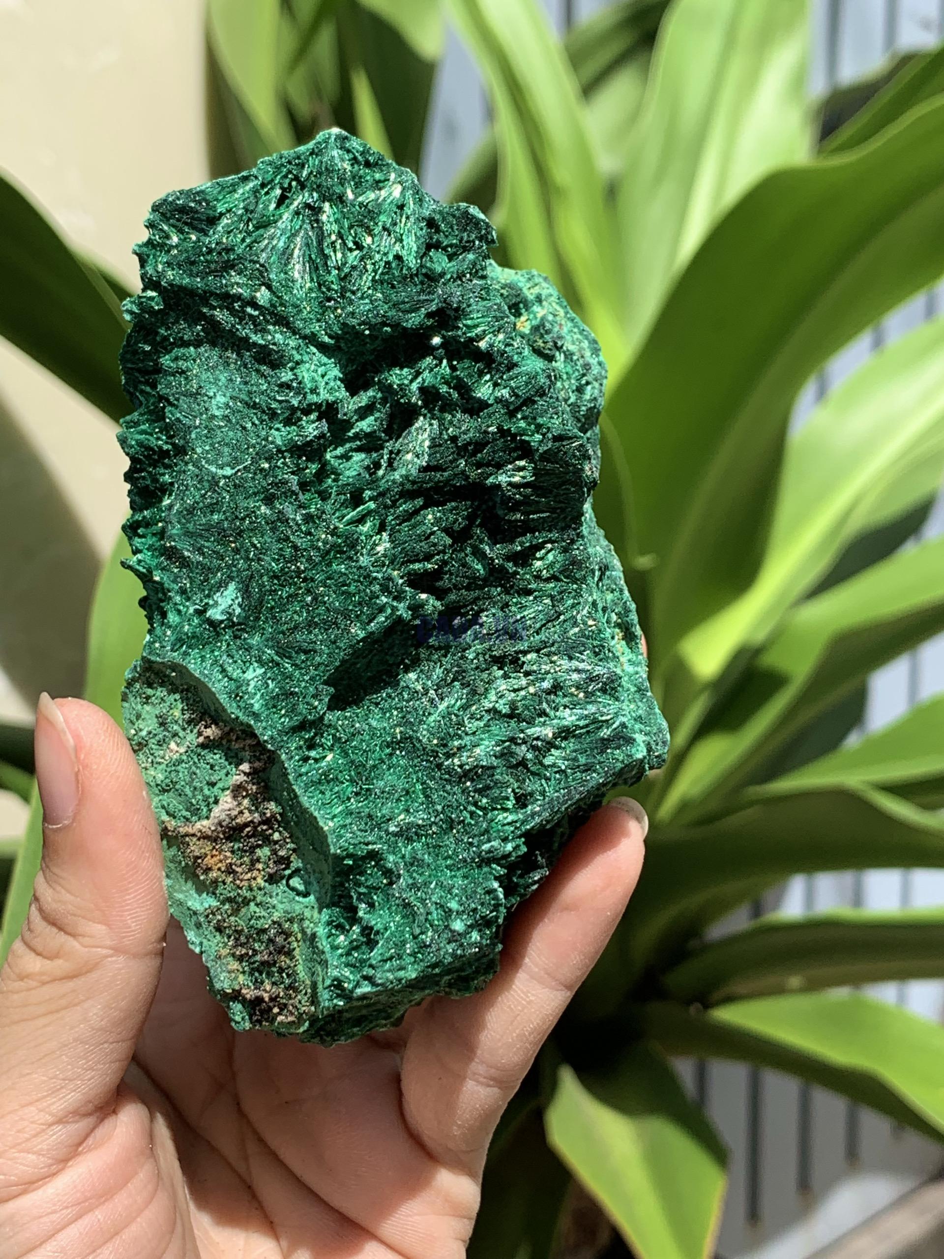 Thô nhũ lông công | Silk malchite raw | Đá trang trí, sưu tầm, healing | CADA DECOR