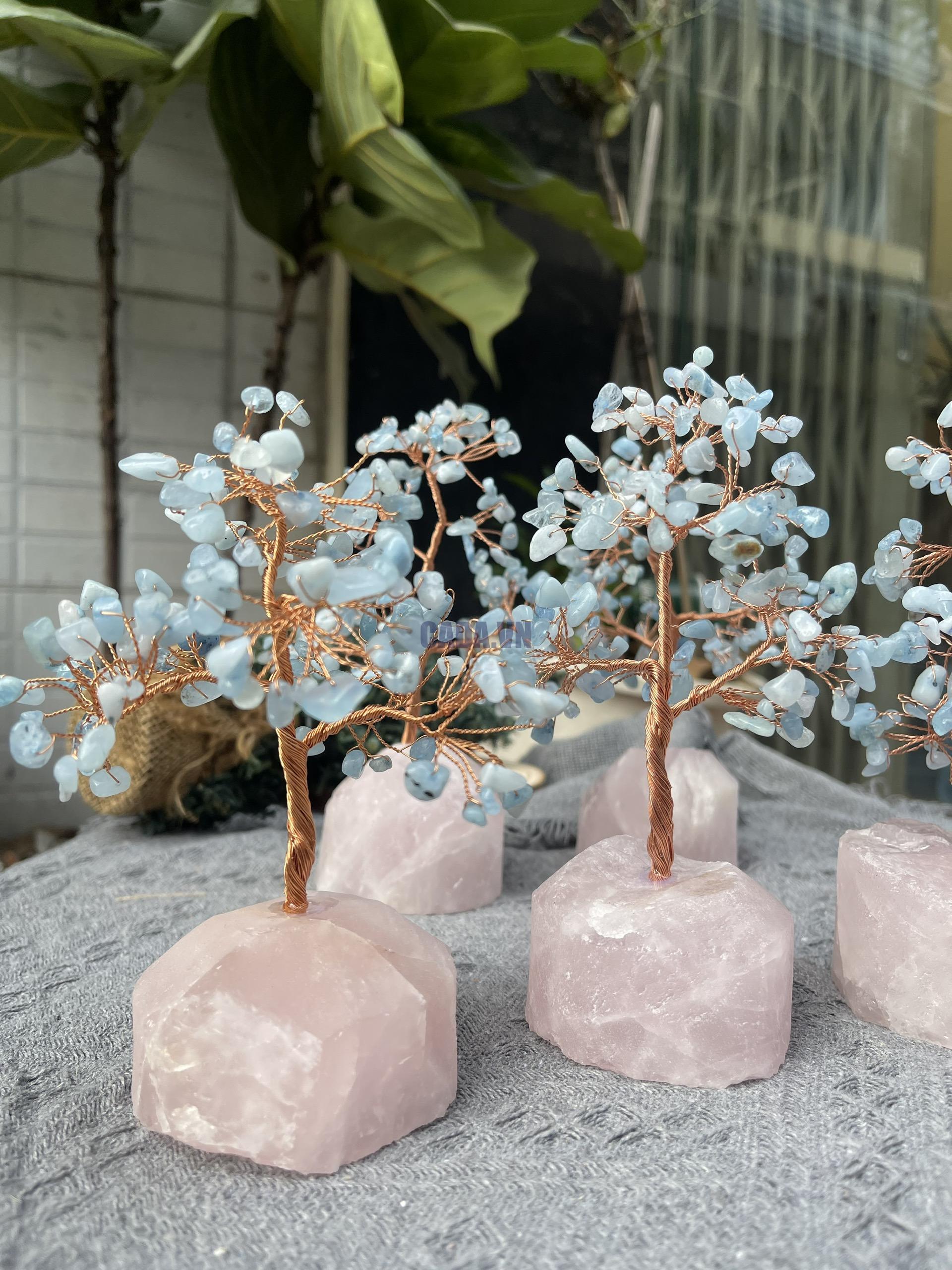 Cây tài lộc đá Aquamarine gốc Thạch anh hồng | Đá trang trí, sưu tầm, healing | CADA DECOR