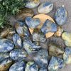 Tim & Palm Kyanite | Đá trang trí, sưu tầm, healing | CADA DECOR
