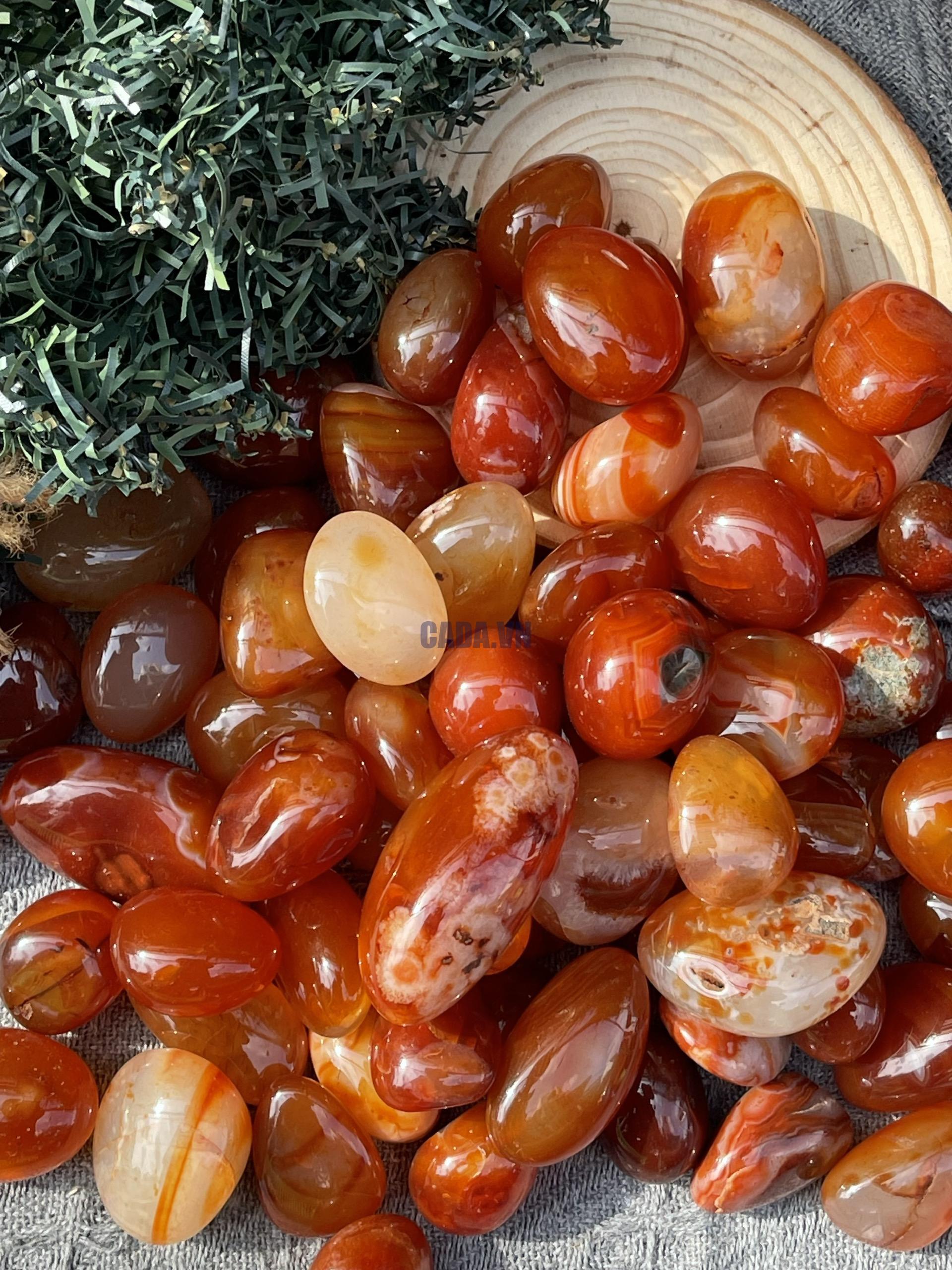 Tumble Carnelian| Đá trang trí, sưu tầm, healing | CADA DECOR