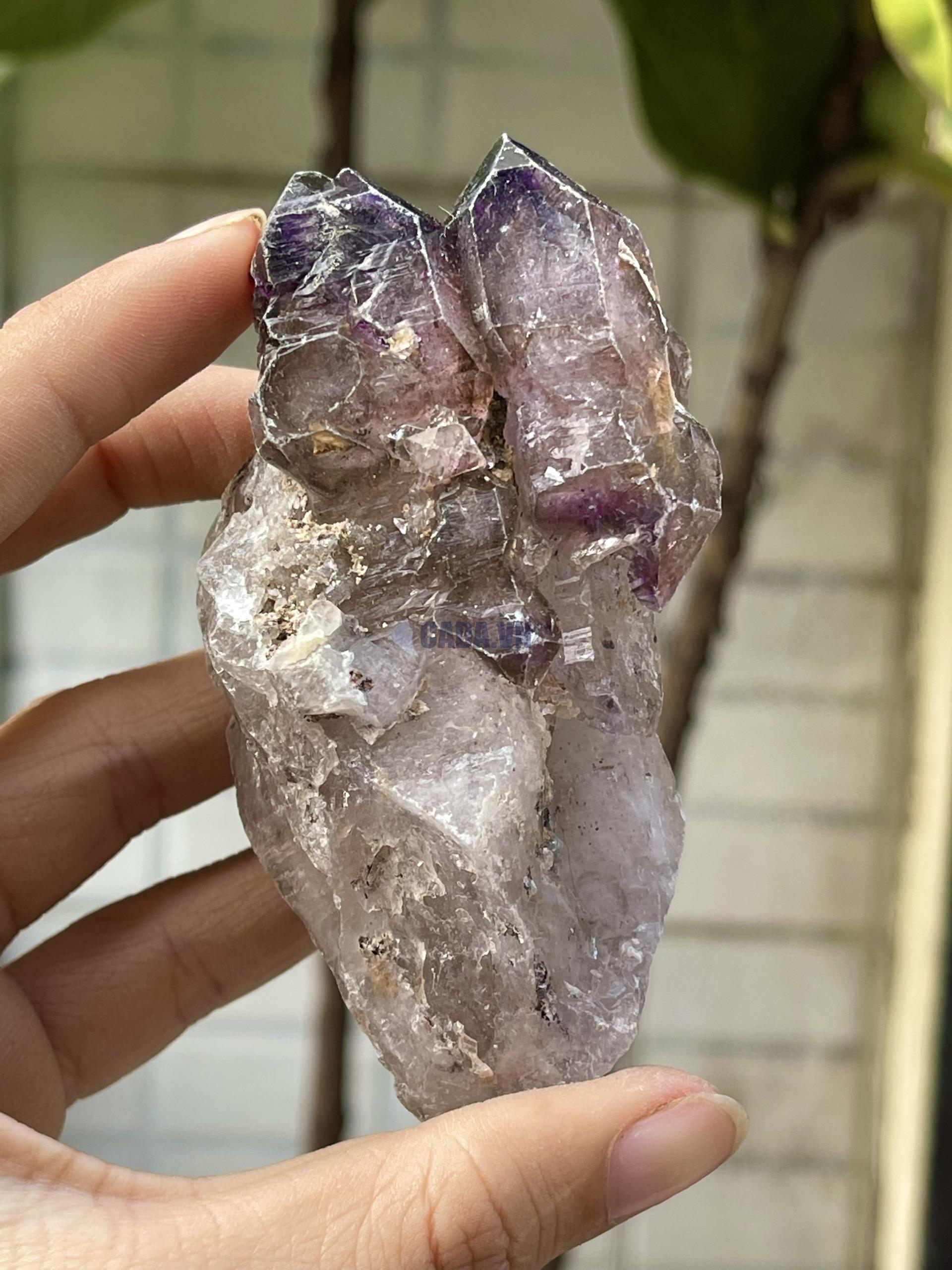 Tinh thể thô Super seven quartz | Đá trang trí, sưu tầm, healing | CADA DECOR