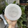 Đĩa lưới tinh thể selenite | Grib Selenite | Đá trang trí, sưu tầm, healing | CADA DECOR