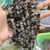 Dây chip Black Rutilated Quartz - Thạch Anh Tóc đen | CADA DECOR