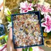 Đá vụn Fire Quartz (100gram) | Đá trang trí, sưu tầm, healing | CADA DECOR