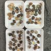 Mặt dây Ưu linh - Garden Quartz | CADA DECOR