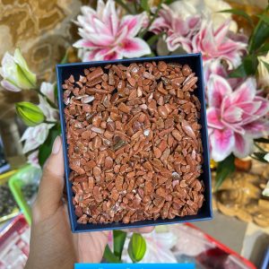 Đá vụn Sandstone (100gram) | Đá trang trí, sưu tầm, healing | CADA DECOR