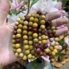 Vòng Mookaite Jasper 8mm - Vòng đơn | CADA DECOR