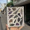 Hộp sưu tầm Amethyst các loại | Amethyst cluster | Đá trang trí, sưu tầm, healing | CADA DECOR