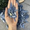 Que thô màu xanh Kyanite | Blue Kyanite| Đá trang trí, sưu tầm, healing | CADA DECOR