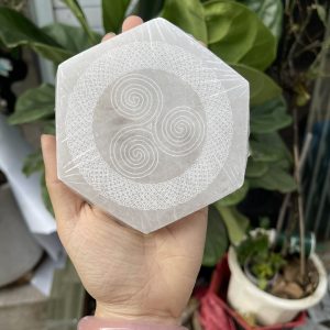 Đĩa lưới tinh thể selenite | Grib Selenite | Đá trang trí, sưu tầm, healing | CADA DECOR