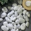 Đá bạch tùng | Tumble Howlite | Đá trang trí, sưu tầm, healing | CADA DECOR