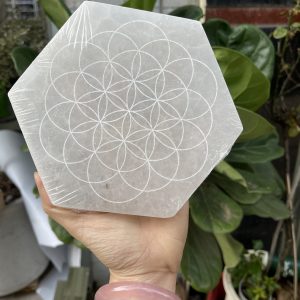 Đĩa lưới tinh thể selenite | Grib Selenite | Đá trang trí, sưu tầm, healing | CADA DECOR