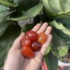 Tumble Carnelian| Đá trang trí, sưu tầm, healing | CADA DECOR