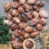 Thạch anh lửa | Palm fire quartz | Đá trang trí, sưu tầm, healing | CADA DECOR