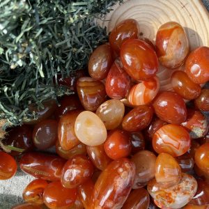 Tumble Carnelian| Đá trang trí, sưu tầm, healing | CADA DECOR
