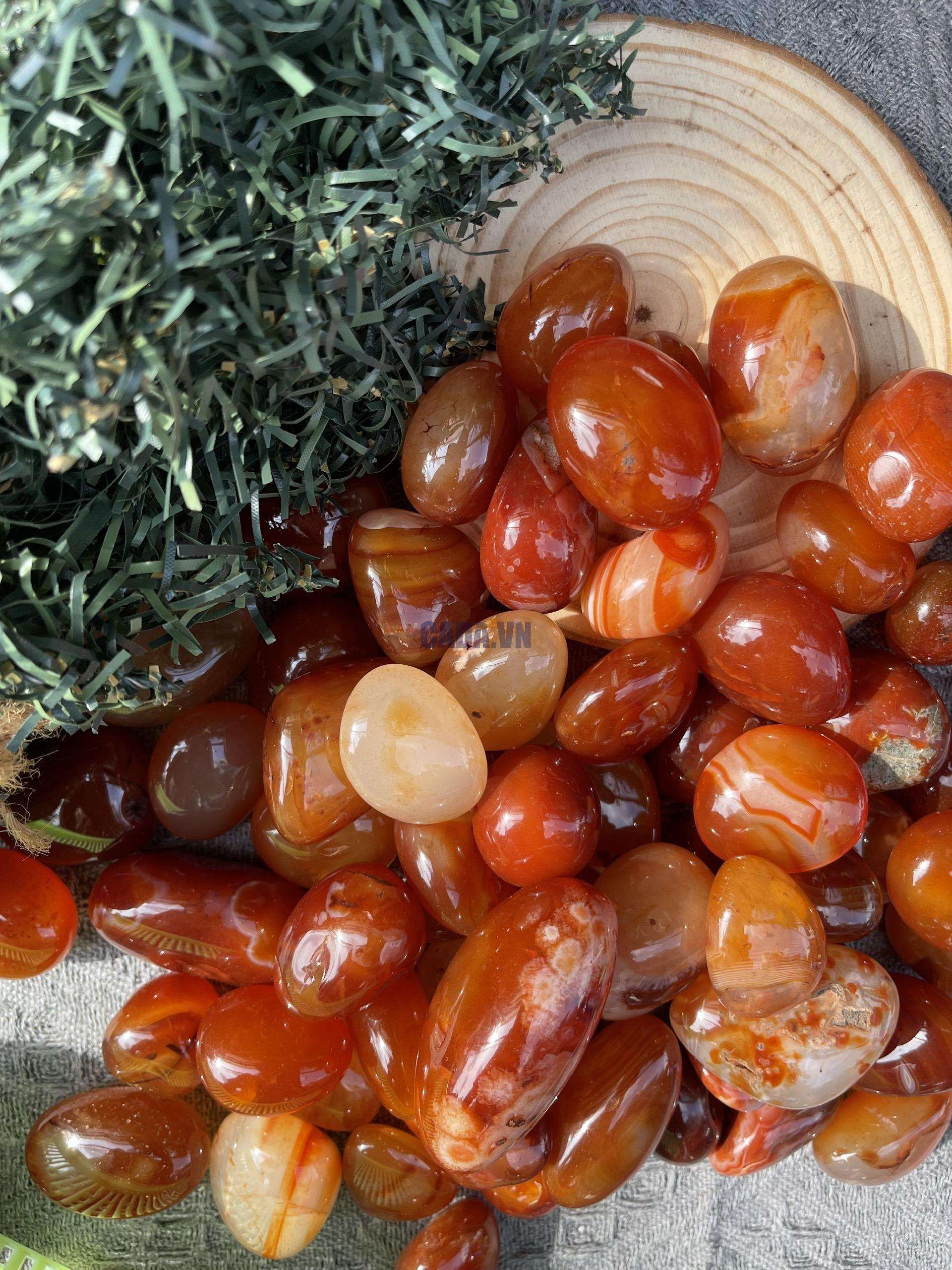 Tumble Carnelian| Đá trang trí, sưu tầm, healing | CADA DECOR