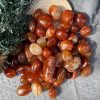 Tumble Carnelian| Đá trang trí, sưu tầm, healing | CADA DECOR