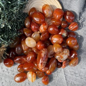 Tumble Carnelian| Đá trang trí, sưu tầm, healing | CADA DECOR