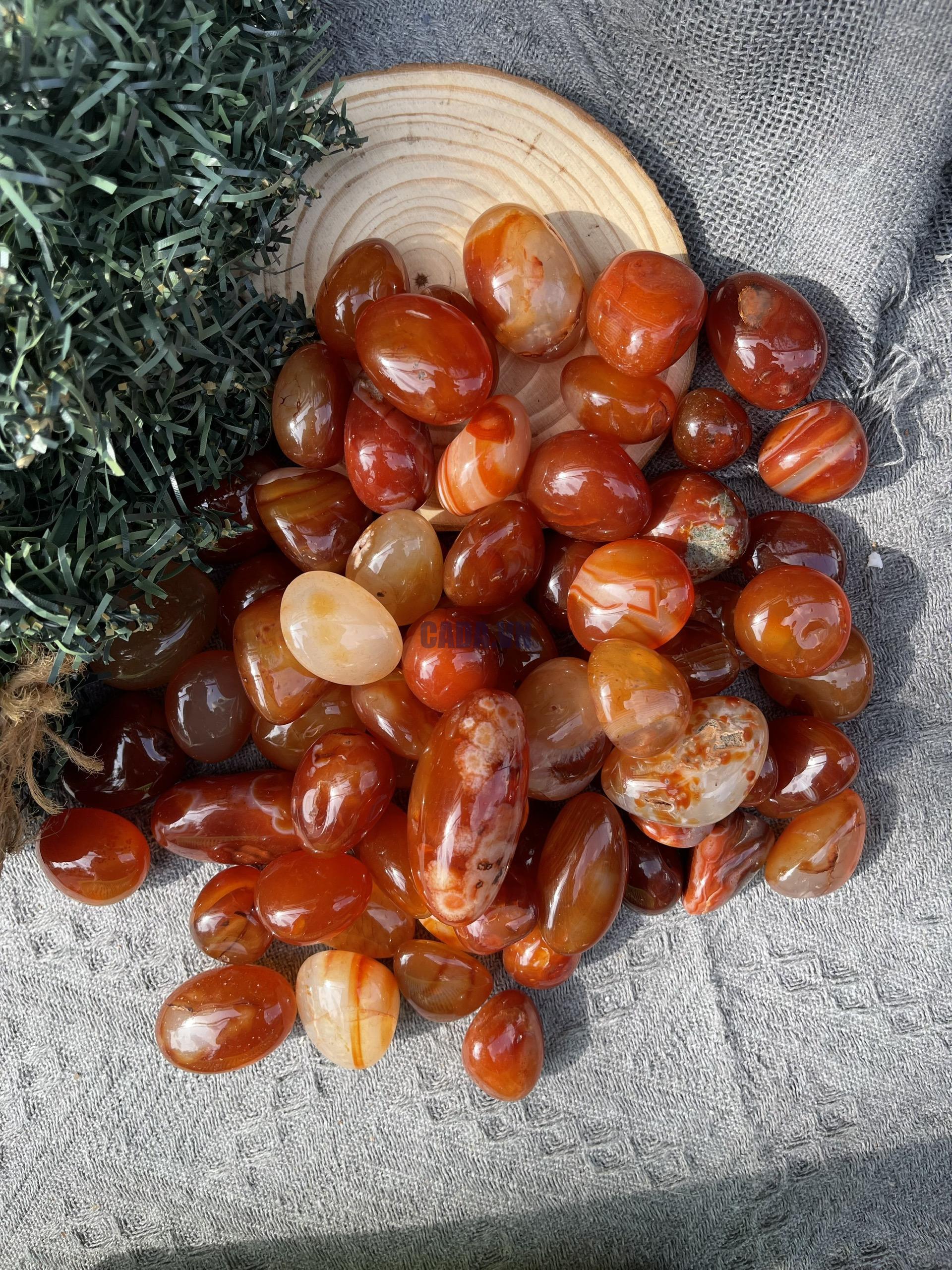 Tumble Carnelian| Đá trang trí, sưu tầm, healing | CADA DECOR