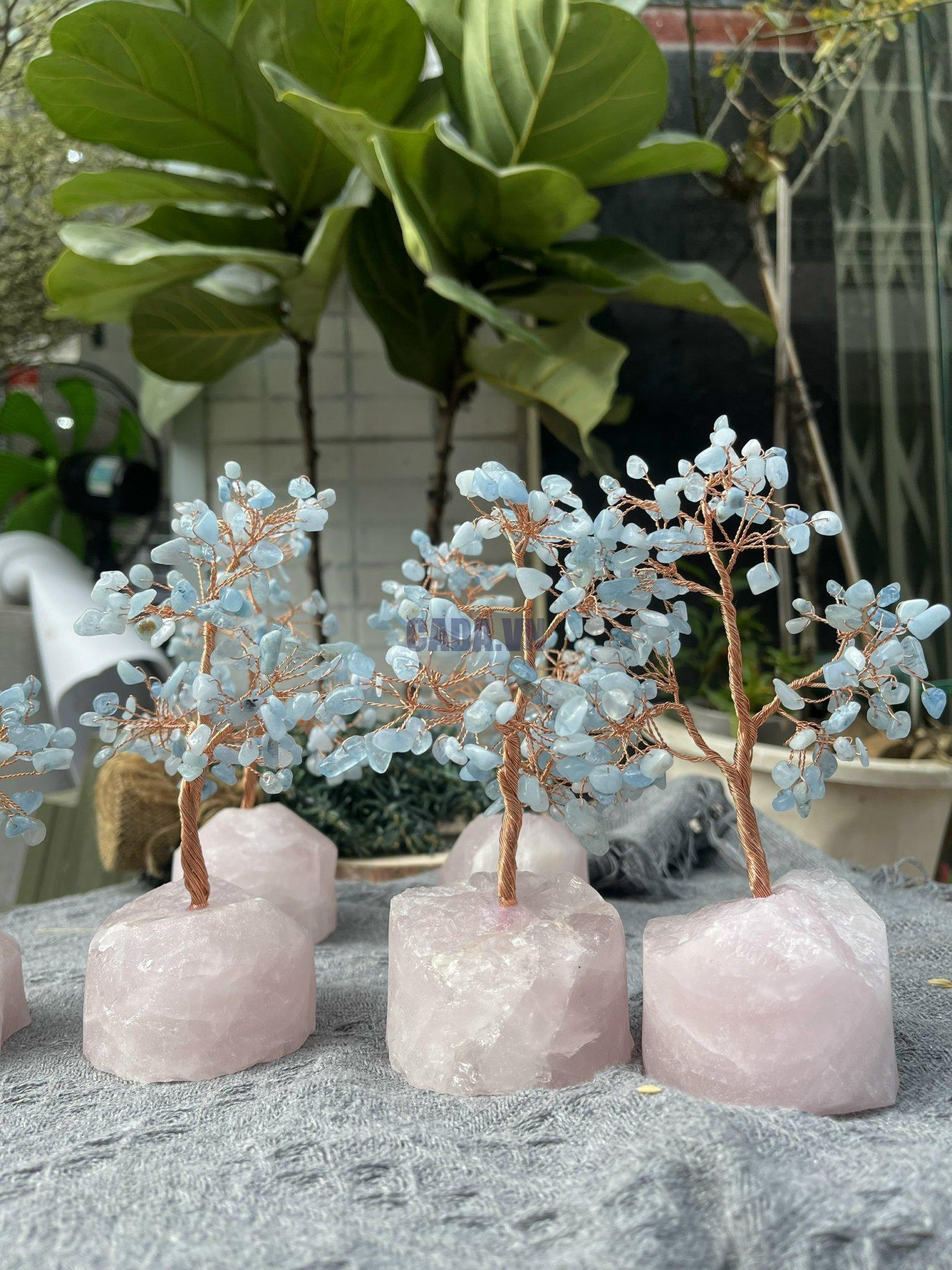 Cây tài lộc đá Aquamarine gốc Thạch anh hồng | Đá trang trí, sưu tầm, healing | CADA DECOR