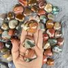Trái tim Polychrome Jasper | Đá trang trí, sưu tầm, healing | CADA DECOR
