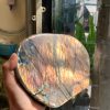 ĐÁ XÀ CỪ – HẮC NGUYỆT QUANG – Labradorite (XC173) – KL: 1,348KG