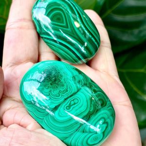 Palm Malachite | Đá trang trí, sưu tầm, healing | CADA DECOR