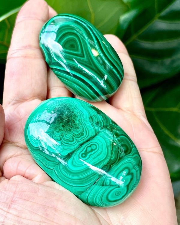 Palm Malachite | Đá trang trí, sưu tầm, healing | CADA DECOR