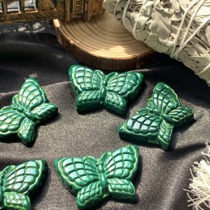 Bươm Bướm Đá Lông Công - Malachite Butterfly