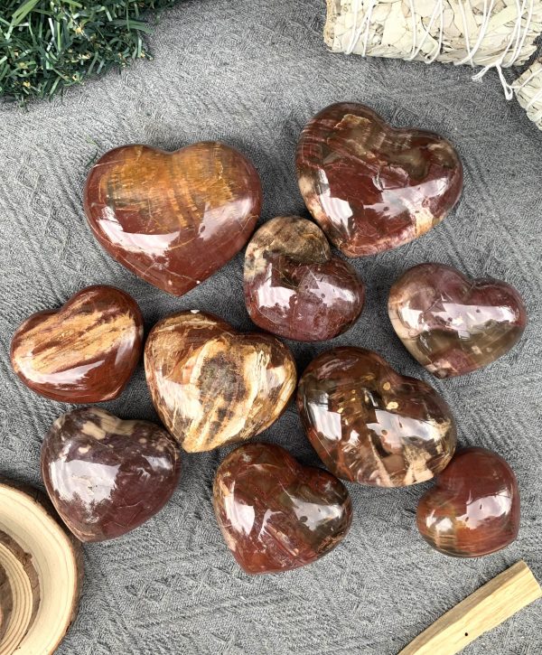 Trái Tim Gỗ Hoá Thạch | Đá trang trí, sưu tầm, healing | CADA DECOR