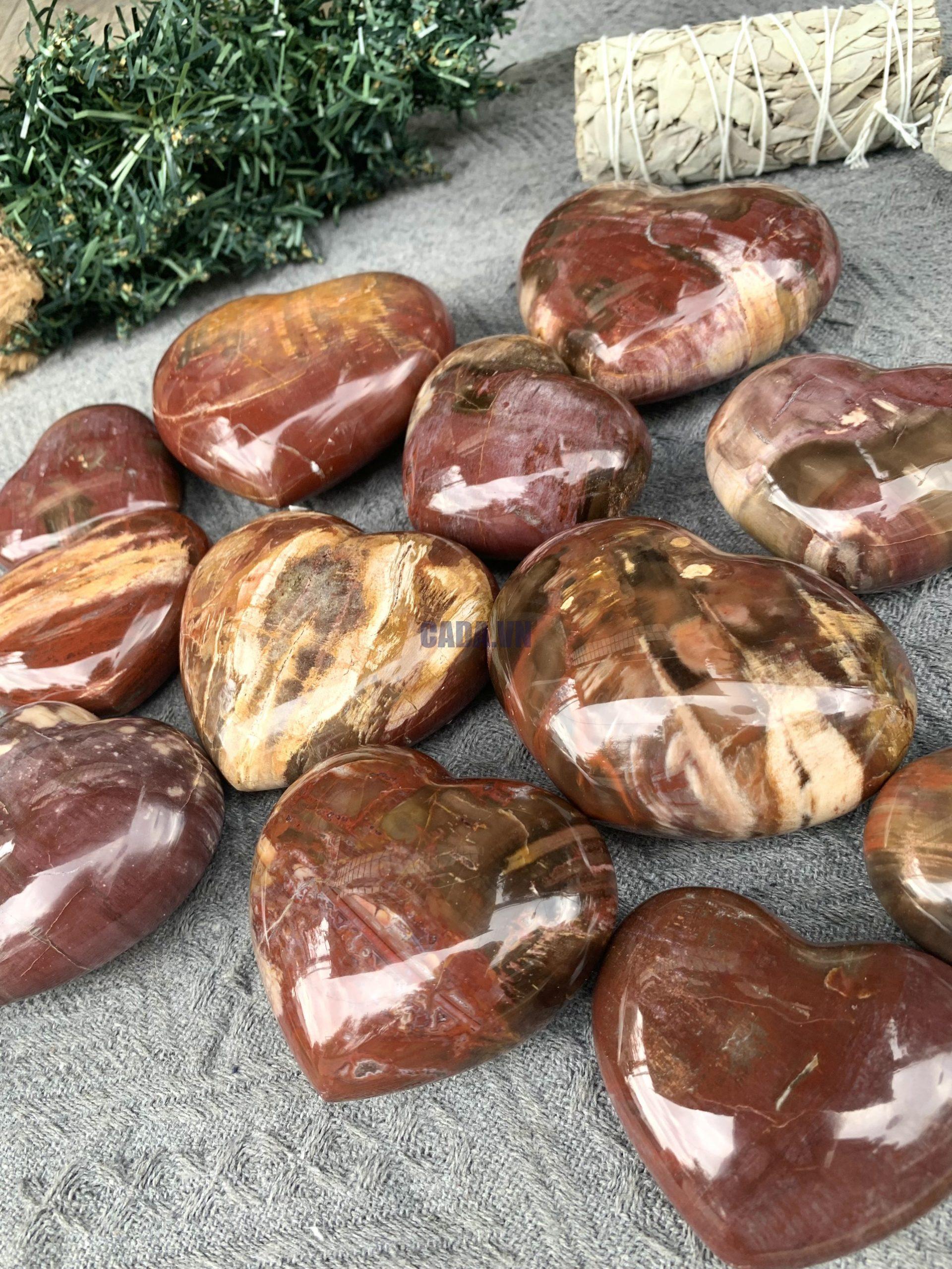 Trái Tim Gỗ Hoá Thạch | Đá trang trí, sưu tầm, healing | CADA DECOR