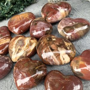 Trái Tim Gỗ Hoá Thạch | Đá trang trí, sưu tầm, healing | CADA DECOR