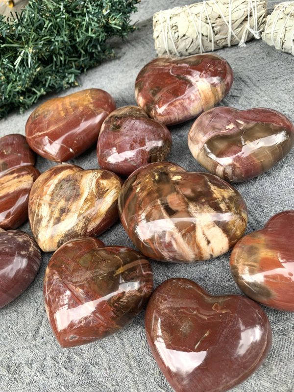 Trái Tim Gỗ Hoá Thạch | Đá trang trí, sưu tầm, healing | CADA DECOR