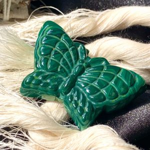 Bươm Bướm Đá Lông Công - Malachite Butterfly