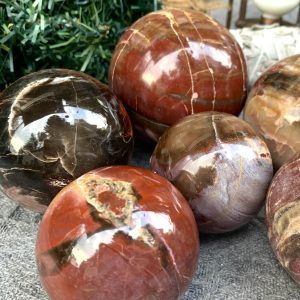 Bi Cầu Gỗ Hóa Thạch | CADA DECOR