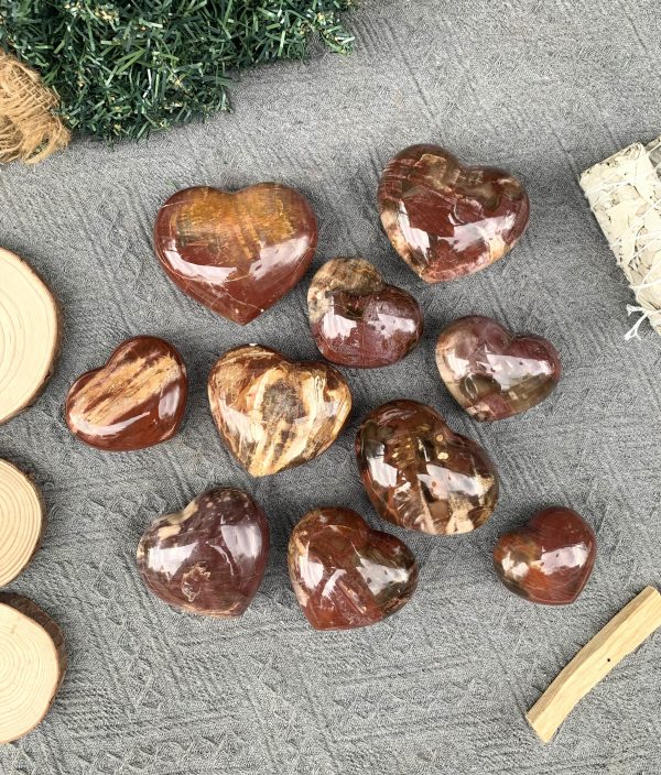 Trái Tim Gỗ Hoá Thạch | Đá trang trí, sưu tầm, healing | CADA DECOR