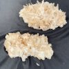 Clear quartz Cluster | Đá trang trí, sưu tầm, healing | CADA DECOR
